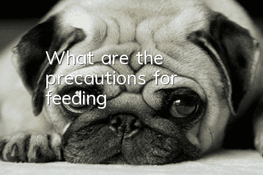 What are the precautions for feeding?