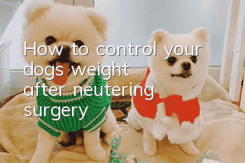 How to control your dog's weight after neutering surgery?