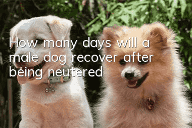 How many days will a male dog recover after being neutered?