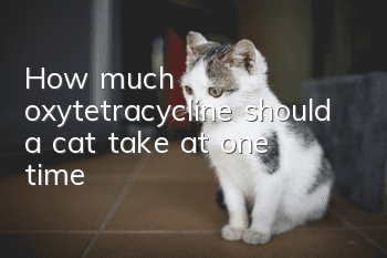 How much oxytetracycline should a cat take at one time?