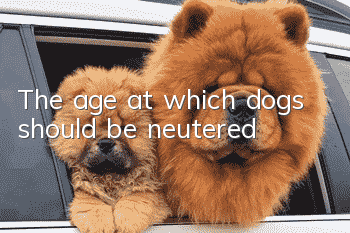 The age at which dogs should be neutered