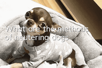 What are the methods of neutering dogs?