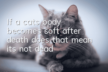 If a cat’s body becomes soft after death, does that mean it’s not dead?