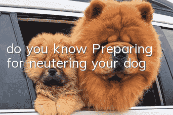 do you know? Preparing for neutering your dog