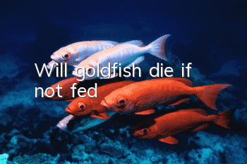 Will goldfish die if not fed?