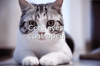 Cat's eyes can't open