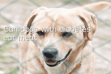 Can dogs with diabetes eat meat?