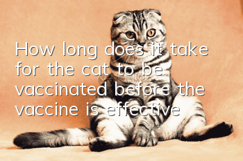 How long does it take for the cat to be vaccinated before the vaccine is effective?