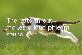 The cat's throat makes a loud phlegm sound