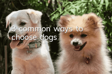 3 common ways to choose dogs