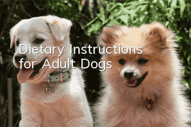 Dietary Instructions for Adult Dogs