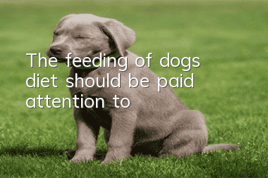 The feeding of dog’s diet should be paid attention to