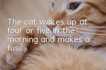 The cat wakes up at four or five in the morning and makes a fuss