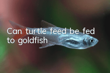 Can turtle feed be fed to goldfish?