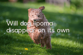 Will dog lipoma disappear on its own?