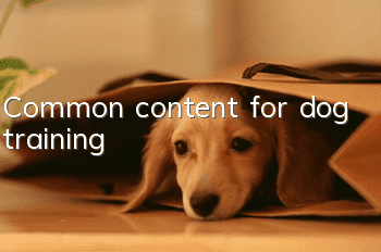 Common content for dog training