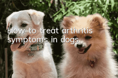 How to treat arthritis symptoms in dogs