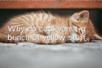 Why do cats vomit a bunch of yellow stuff?