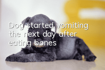 Dog started vomiting the next day after eating bones