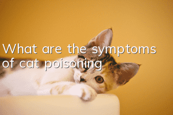 What are the symptoms of cat poisoning?