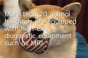 More than 20 animal hospitals are equipped with high-end diagnostic equipment such as MRI or CT. Is it really necessary?