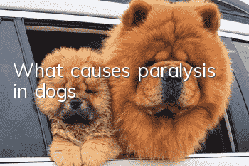 What causes paralysis in dogs?