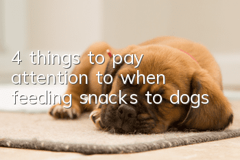 4 things to pay attention to when feeding snacks to dogs