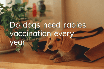 Do dogs need rabies vaccination every year?