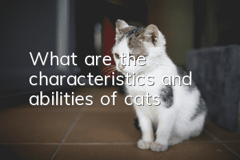 What are the characteristics and abilities of cats?