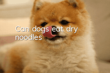 Can dogs eat dry noodles?