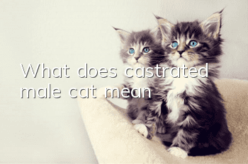 What does castrated male cat mean?