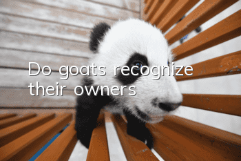 Do goats recognize their owners?