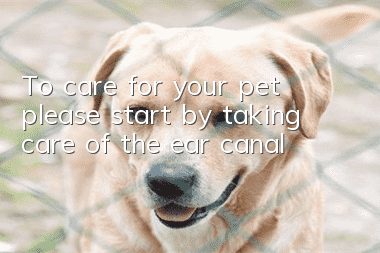 To care for your pet, please start by taking care of the ear canal!