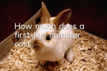 How much does a first-line hamster cost?