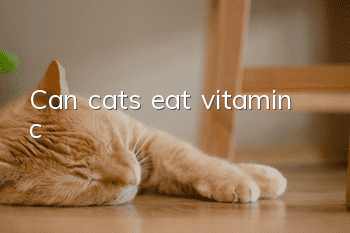 Can cats eat vitamin c?