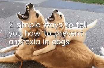 2 simple ways to tell you how to prevent anorexia in dogs