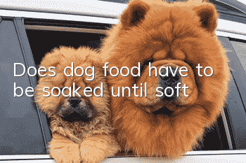 Does dog food have to be soaked until soft?