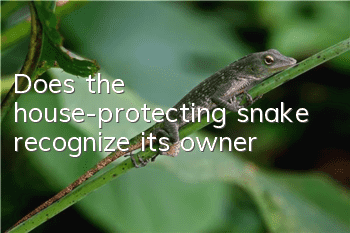 Does the house-protecting snake recognize its owner?