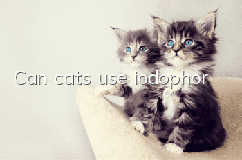 Can cats use iodophor?