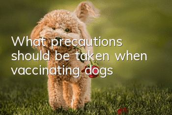 What precautions should be taken when vaccinating dogs?