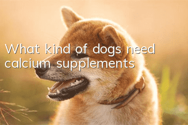 What kind of dogs need calcium supplements?