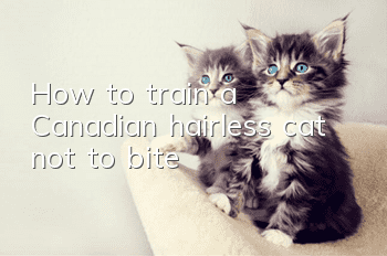 How to train a Canadian hairless cat not to bite