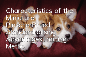 Characteristics of the Miniature Pinscher_Breed Standard_Raising Advantages_Training Methods