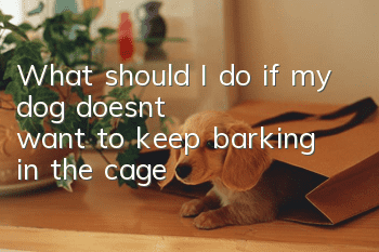 What should I do if my dog ​​doesn’t want to keep barking in the cage?