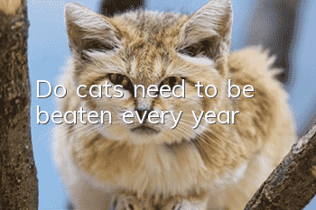 Do cats need to be beaten every year?