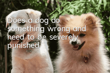 Does a dog do something wrong and need to be severely punished?