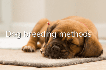 Dog breeding methods