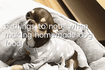 6 things to note when making homemade dog food