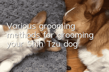 Various grooming methods for grooming your Shih Tzu dog