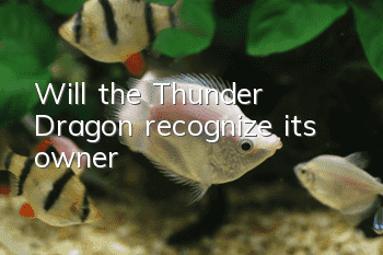 Will the Thunder Dragon recognize its owner?